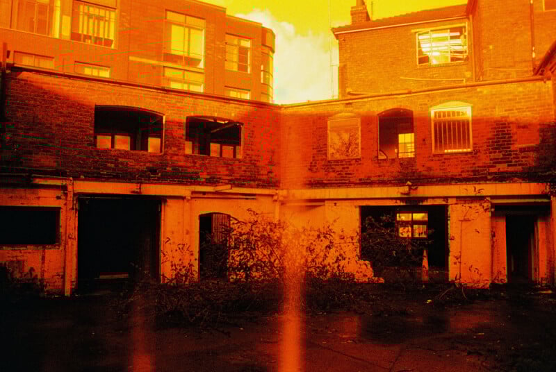 A courtyard of an abandoned brick building under an intense orange hue, possibly from a photographic filter. Windows are broken, and overgrown vines protrude from the ground, creating a desolate, eerie atmosphere.