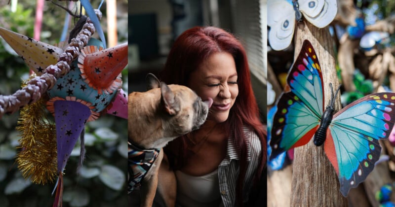 A collage with three panels: colorful star decorations, a woman smiling as a dog licks her face, and a close-up of vibrant blue butterflies on tree branches.