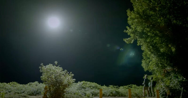 Two people stand near a large tree under a bright full moon. The landscape around them is lush with shrubs, and the night sky is clear. The moonlight illuminates the scene, casting subtle shadows.