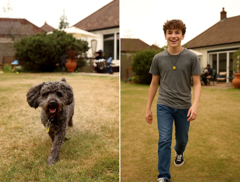 Split image: On the left, a small curly-haired gray dog runs toward the camera on grass. On the right, a smiling teenage boy in a gray shirt and jeans walks toward the camera in the same backyard.
