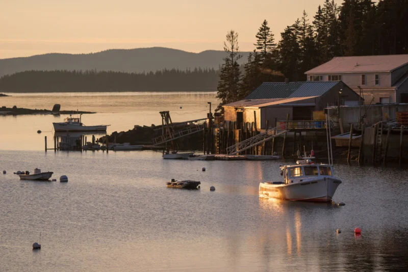 A small harbor at sunset with fishing boats floating on calm water, wooden docks, and rustic buildings along the shoreline, surrounded by tall pine trees and distant hills.