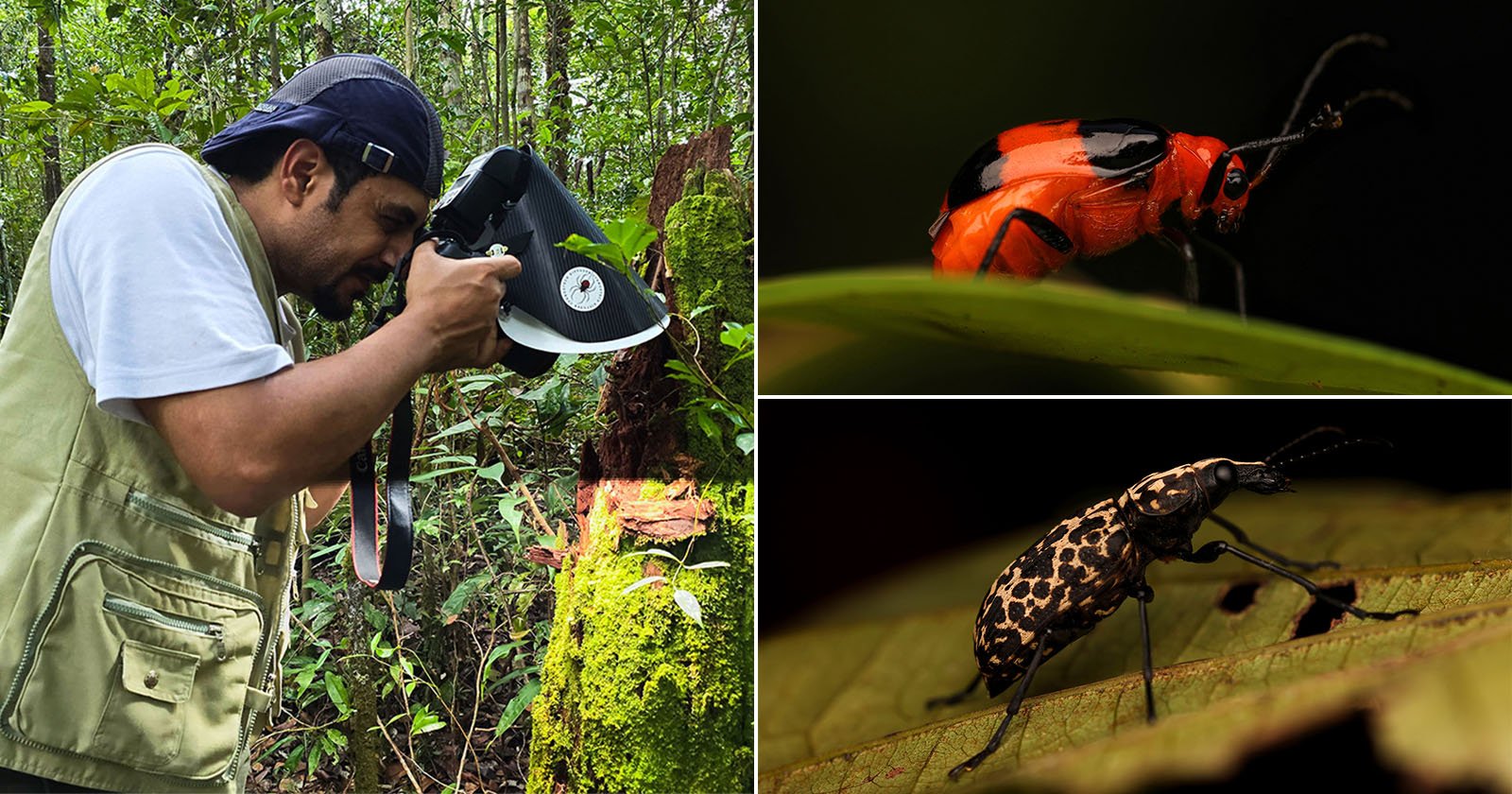 17 Days in Indonesia: A Photography Adventure in Bug-Filled Forests and Caves