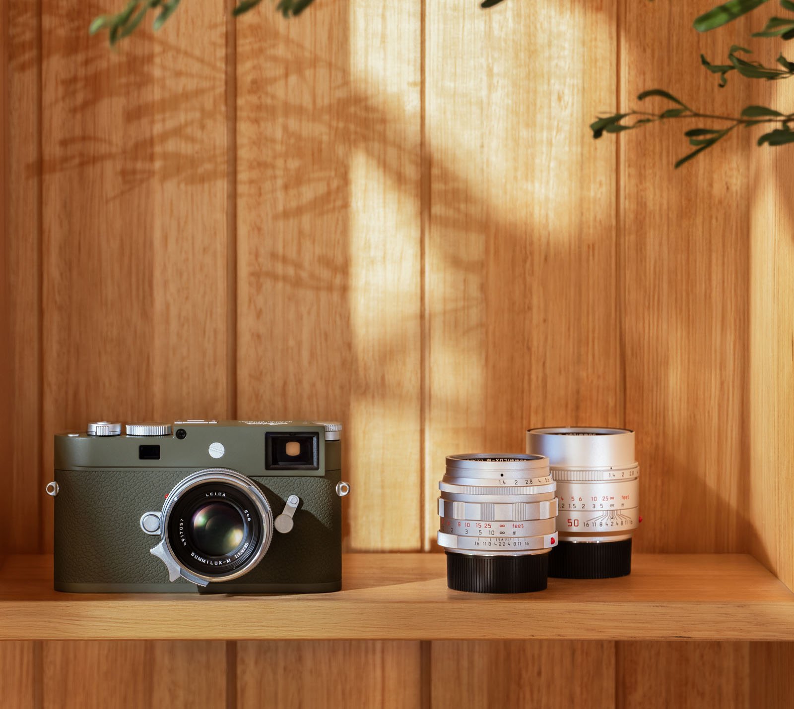 A green camera with a lens and two additional silver camera lenses are displayed on a wooden shelf, with sunlight and plant shadows visible on the wood background.