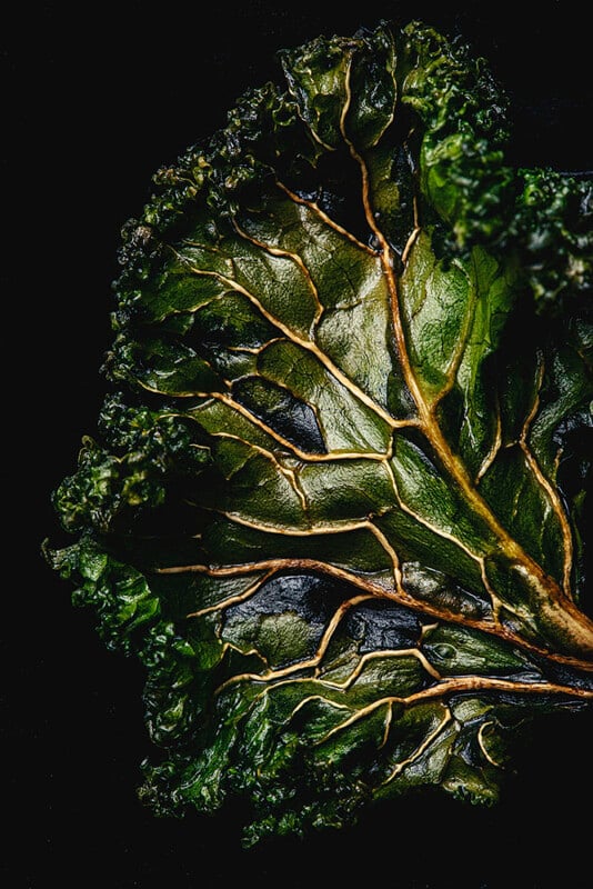 Close-up of a single baked kale leaf, showing crisp, dark green texture and detailed veins, with ruffled edges, set against a black background.