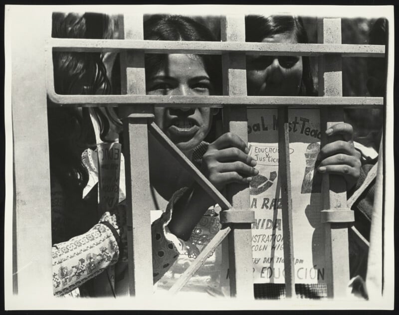 A young woman stands behind a metal fence, gripping the bars and looking through them. She is partially obscured by signs and papers, suggesting a protest or demonstration. Other people and handwritten posters are visible in the background.