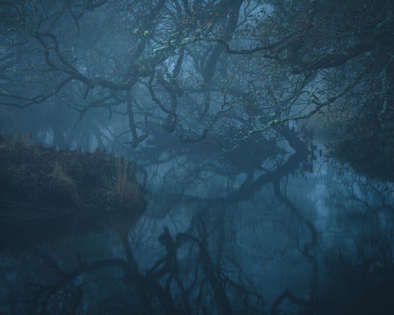 Foggy woodland scene with twisted tree branches covered in moss hanging over a still, dark pond; reflections of the branches create an eerie, mysterious atmosphere.