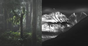 The image is split: on the left, a misty, lush green forest with mossy trees; on the right, dramatic, snow-covered mountain peaks are shown in black and white.