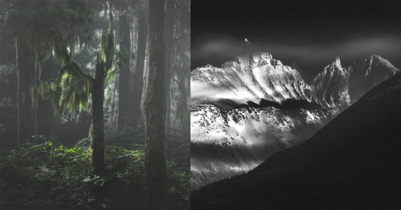 The image is split: on the left, a misty, lush green forest with mossy trees; on the right, dramatic, snow-covered mountain peaks are shown in black and white.