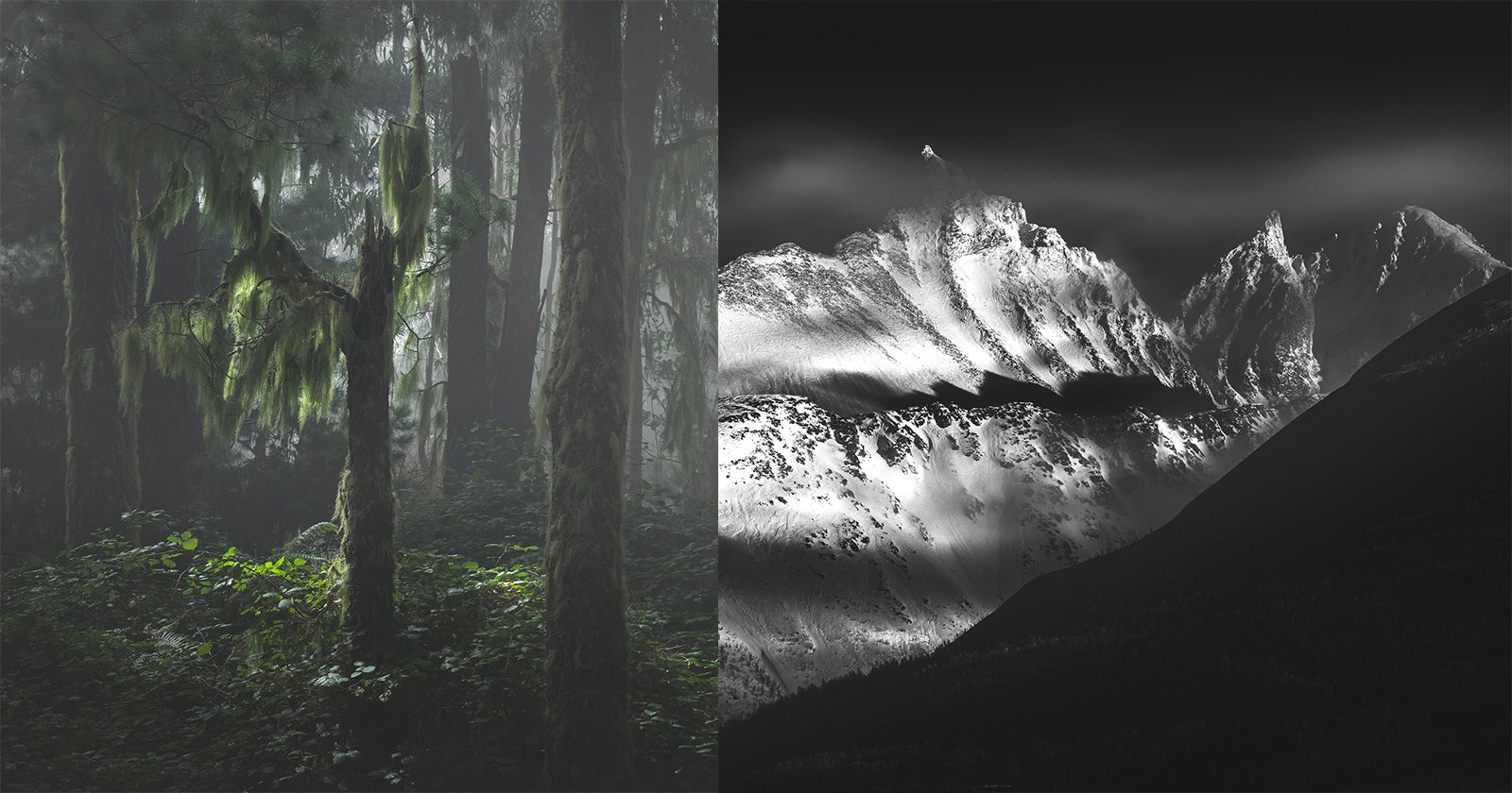 Visionary Photographer’s Landscapes Are a Love Letter to Nature