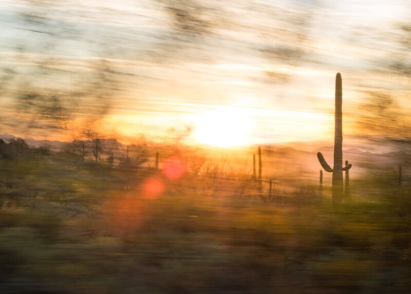 Blurry desert landscape at sunset with a tall cactus silhouette in the foreground, streaks of sunlight, and abstract motion blur creating a dreamy, warm atmosphere.