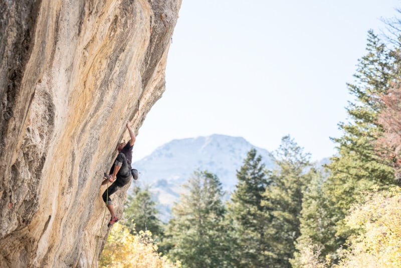 A rock climber ascends a steep, textured cliff face outdoors, surrounded by green pine trees, with a distant mountain peak visible in the background under a clear sky.