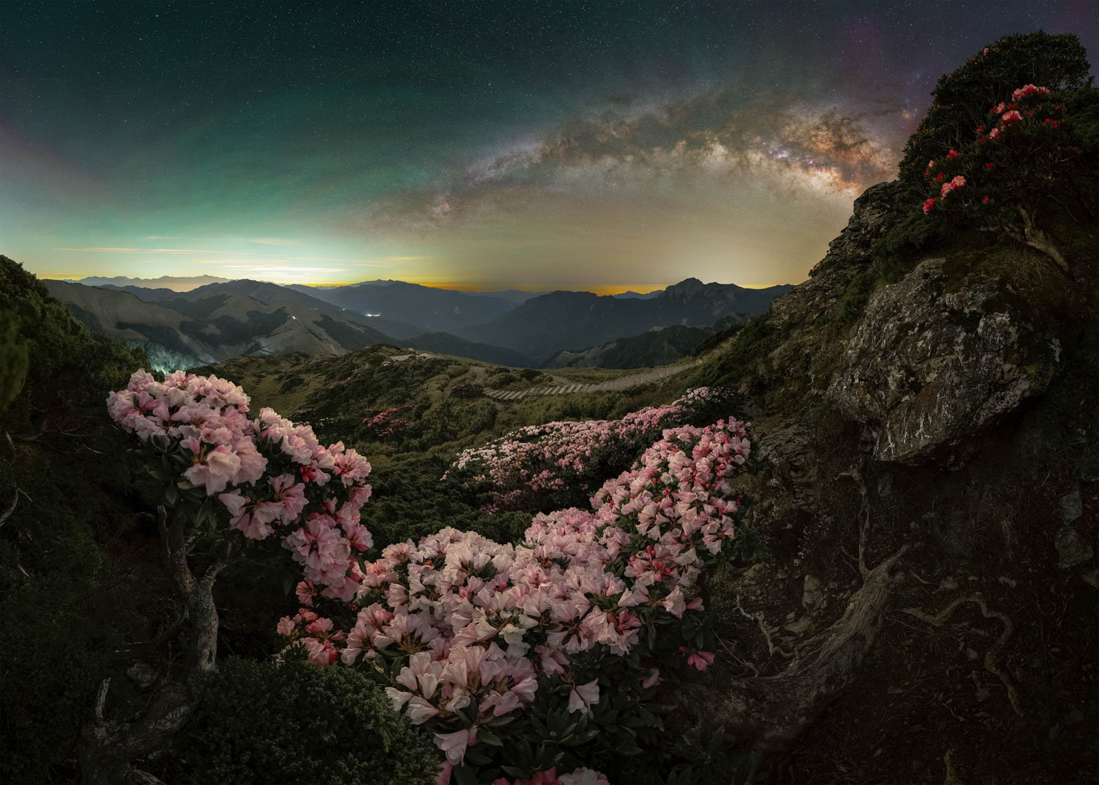 Pink rhododendron flowers bloom on a rugged mountainside under a night sky with the Milky Way visible, distant mountain peaks silhouetted against a glowing horizon.