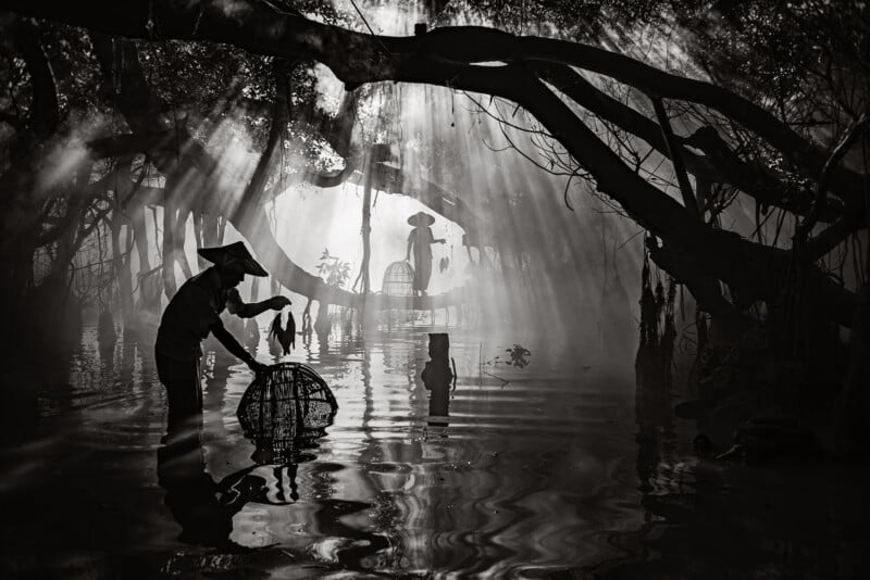 Two people wearing conical hats fish in a flooded forest, surrounded by large tree roots and filtered sunlight streaming through the mist, creating dramatic reflections on the water.