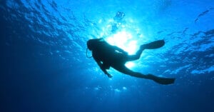 A scuba diver swims underwater, silhouetted against sunlight streaming down through the blue ocean water. Bubbles rise from the diver as they move, creating a peaceful and serene scene.