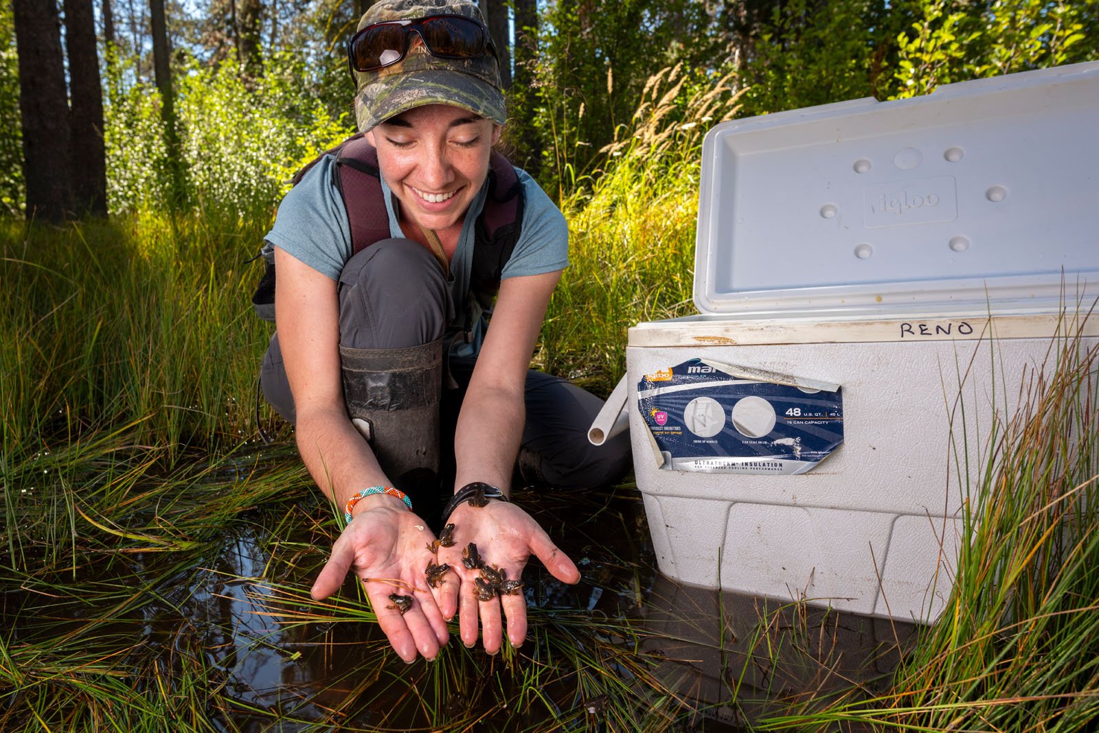A person kneels in a grassy wetland, smiling and holding several small frogs in their hands next to an open white cooler labeled “RENO.” Sunlight filters through the surrounding trees.
