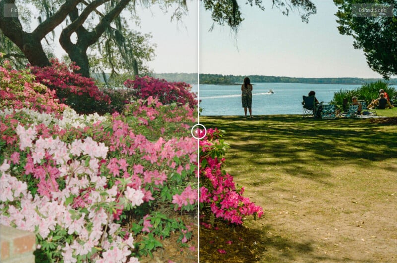 A split-image shows bright pink and white flowers under a large tree on the left, and people relaxing by a lakeside on the right, with blooming flowers in the foreground and a boat on the water in the background.