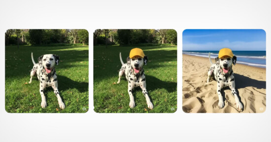 A Dalmatian wearing a yellow cap stands on grass in two left photos and on sand at the beach in the right photo, with trees in the background of the first two and the ocean in the background of the third.