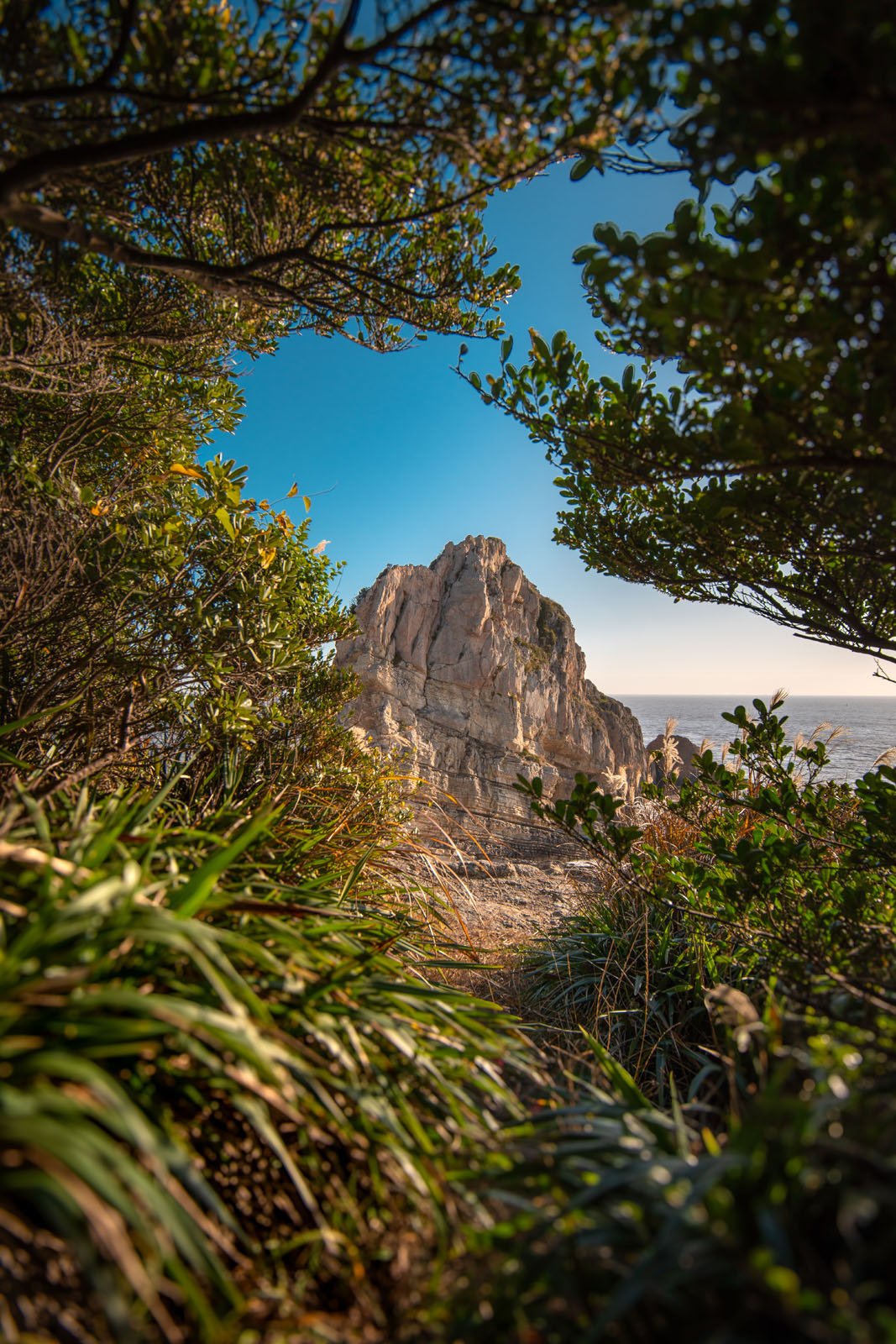 A tall, rocky outcrop rises against a clear blue sky, framed by dense green foliage and grasses in the foreground. Sunlight highlights the rock and vegetation, creating a natural, serene scene.