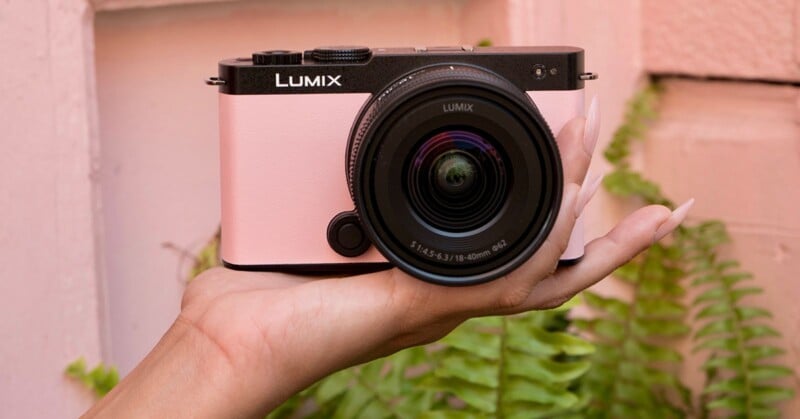 A hand with manicured nails holds a pink Panasonic Lumix digital camera with a large lens, in front of green ferns and a light pink wall.
