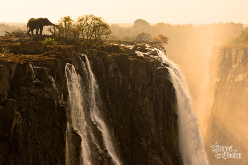 An elephant stands on a cliff edge near trees, overlooking powerful waterfalls cascading down steep rocks at Victoria Falls, with mist rising in the background.