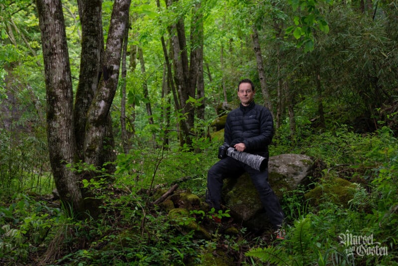 A person in a black jacket sits on a rock in a lush green forest, holding a camera with a large telephoto lens. The ground is covered in ferns and other vegetation, and tall trees surround the scene.