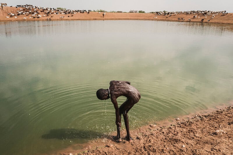 A person bends down to wash in a large, murky pond surrounded by dry, brown land. Goats and sheep graze in the distance near the water's edge under a hazy sky.
