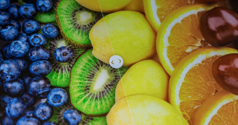 Close-up of assorted fruit slices, including blueberries, kiwi, lemons, oranges, and grapes, arranged in colorful rows with a white circular slider in the center.