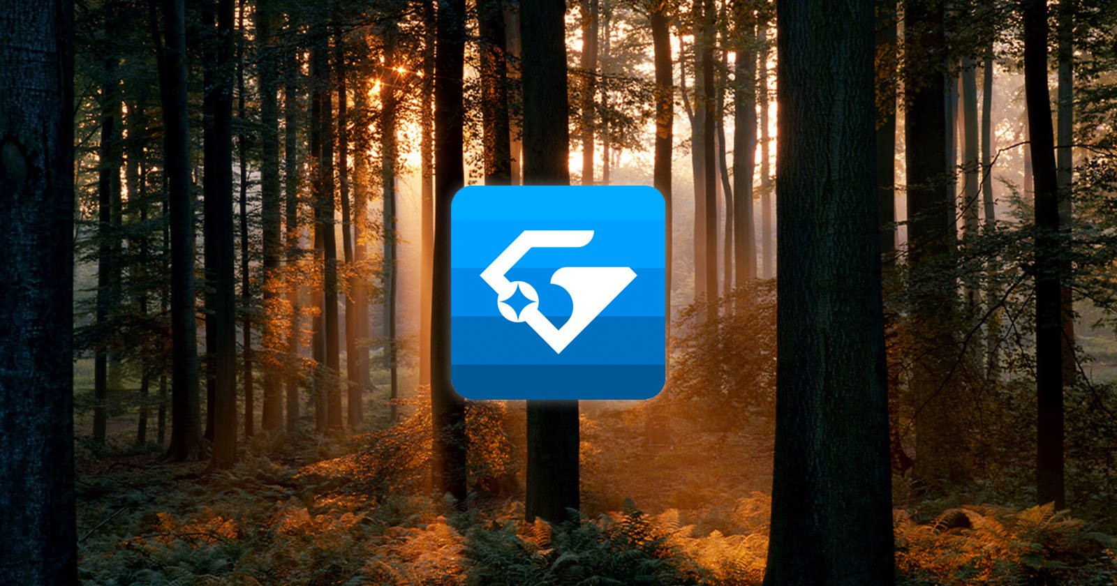 A blue app icon with a stylized white fox head and tail appears centered over a sunlit forest with tall trees and ferns, with warm sunlight streaming through the trees in the background.