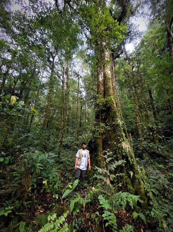 A person stands in a dense, lush green forest surrounded by tall trees, ferns, and thick vegetation. Sunlight filters through the canopy above, creating a peaceful, natural atmosphere.