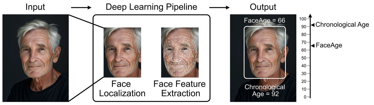 This AI Tool Can Estimate Your Biological Age From Just One Photo ...