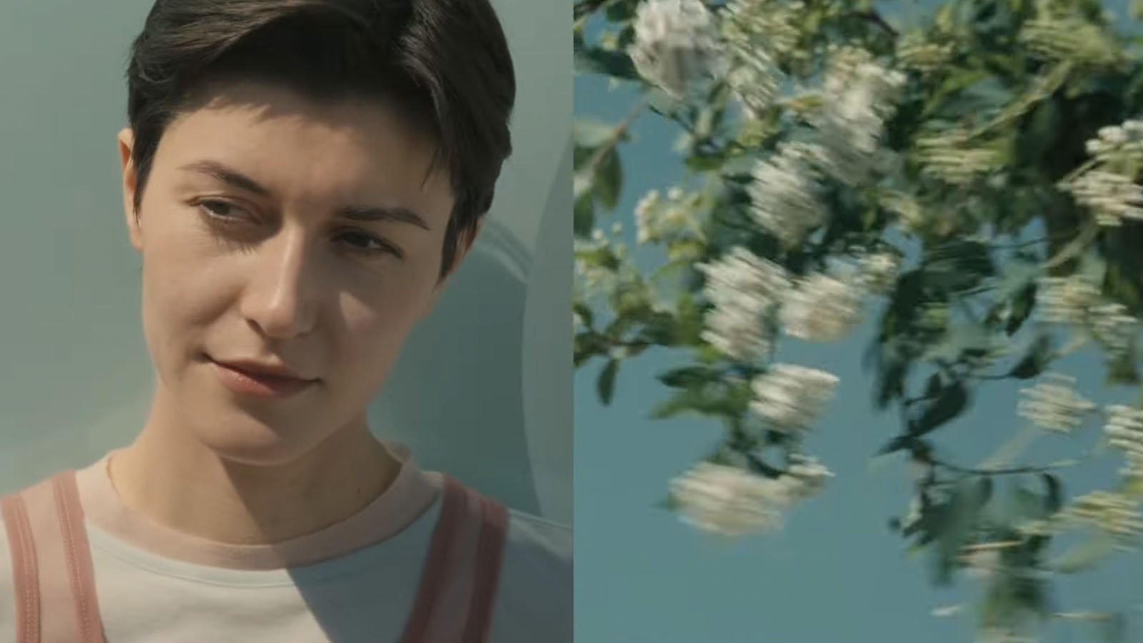 A person with short dark hair and a light shirt stands in sunlight on the left, while white flowers on a leafy branch against a blue sky appear on the right.