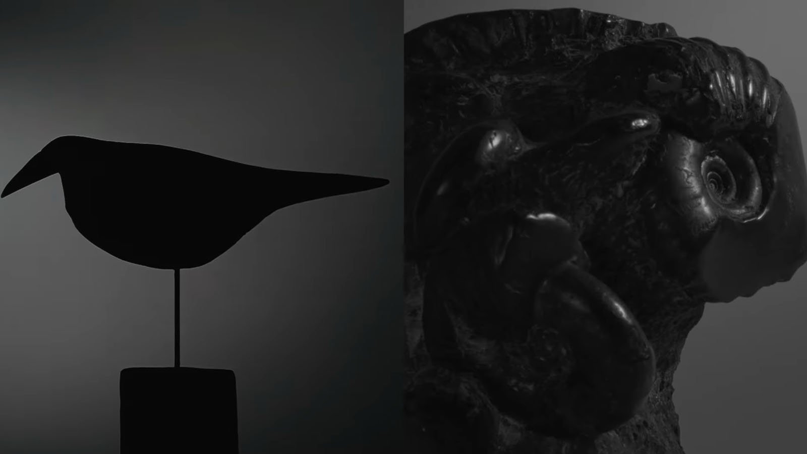 A split-screen image shows a bird-shaped sculpture in silhouette on the left, and a close-up of a dark, textured fossil or rock formation on the right, both set against neutral backgrounds.
