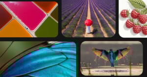 A collage featuring: colorful salt ponds, a person with a red umbrella in a lavender field, an illustration of raspberries, a close-up of a blue butterfly wing, and a kingfisher diving into water.