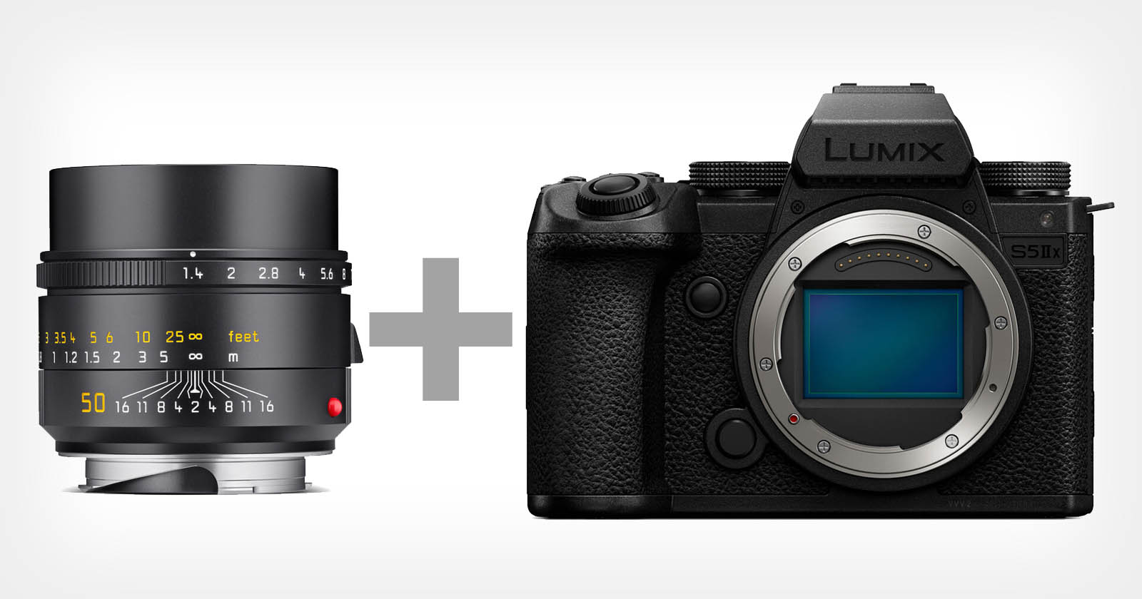 Using M Lenses on a Panasonic Camera: Sacrifice, Sacrilege, or Sweet Spot?