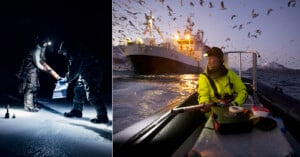 Two scientists collect samples on snowy ground at night using headlamps (left); a person in a yellow jacket sits in a small boat near a larger ship, surrounded by flying birds at dusk (right).