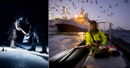 Two scientists collect samples on snowy ground at night using headlamps (left); a person in a yellow jacket sits in a small boat near a larger ship, surrounded by flying birds at dusk (right).