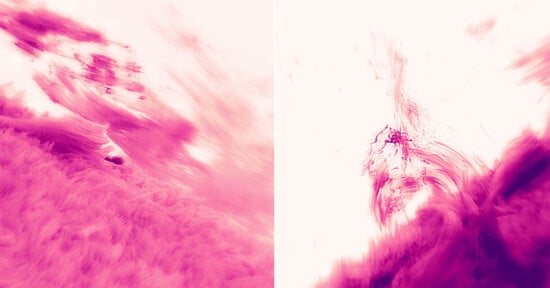 Abstract image split into two panels, each featuring swirling, cloud-like textures in shades of pink and white, creating a sense of motion and energy.