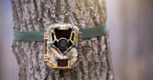 theft trail camera jail