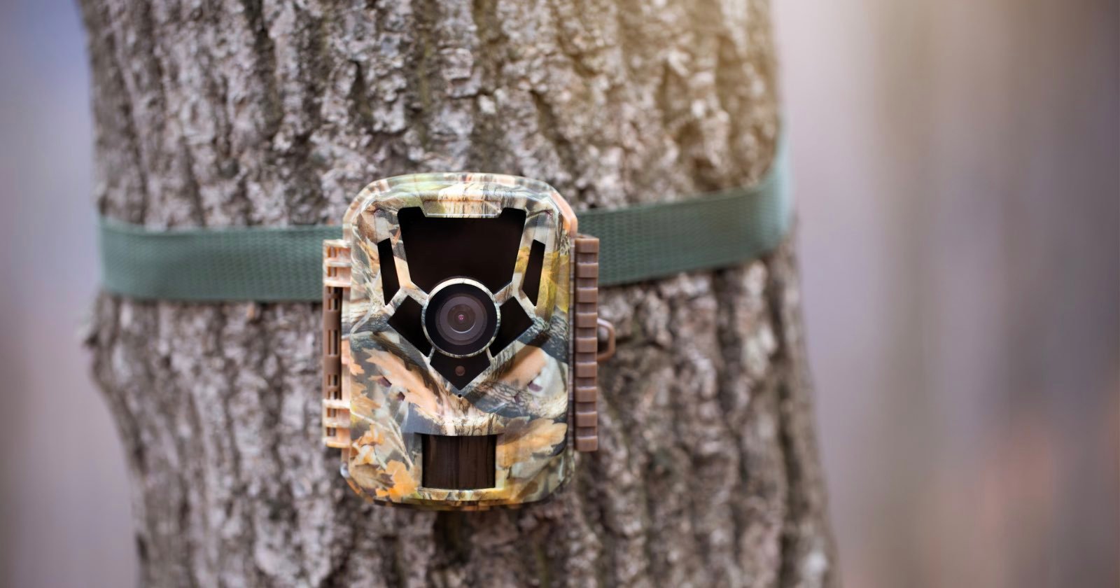 Trail Camera Theft Could Soon Land You in Jail in Pennsylvania