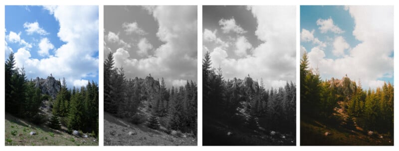Four versions of the same mountain landscape with trees: from left to right, the image is shown in full color, black and white, high-contrast black and white, and a faded vintage-style color effect.