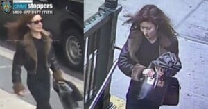 nypd police woman stab photographer new york