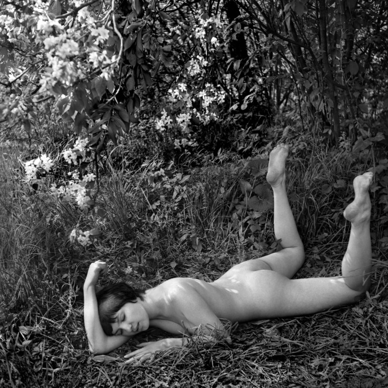 A nude person lies face down on the grass in a natural outdoor setting, surrounded by leafy plants and flowering bushes, with dappled sunlight filtering through the foliage.