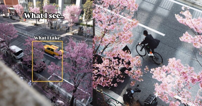 A split image: left side shows a wide view of a street lined with pink cherry blossom trees; right side shows a close-up of a cyclist on the same street, framed by cherry blossoms. Text labels the perspectives.
