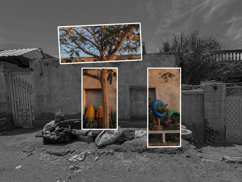 A grayscale photo of a rundown street with trash bags in front of an old wall; three color insets show vibrant details: a leafy tree, colorful plants, and painted tires repurposed as planters.