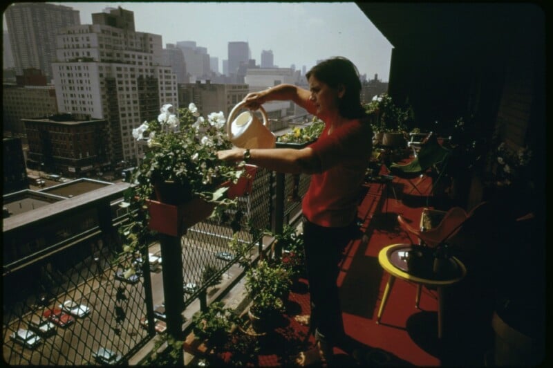 A woman waters plants on a high-rise balcony overlooking a cityscape with skyscrapers and busy streets below. The balcony has potted plants, red flooring, and outdoor furniture.