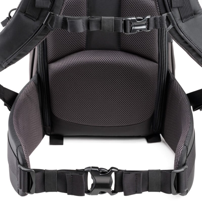 Close-up view of the back panel and waistband of a black backpack, featuring padded mesh for comfort and adjustable straps with plastic buckles for secure fastening.