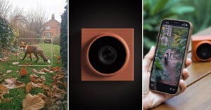 A collage of three images: a fox identified by a smart camera in a yard, a close-up of the camera device, and a person holding a phone showing a wildlife video next to the camera.