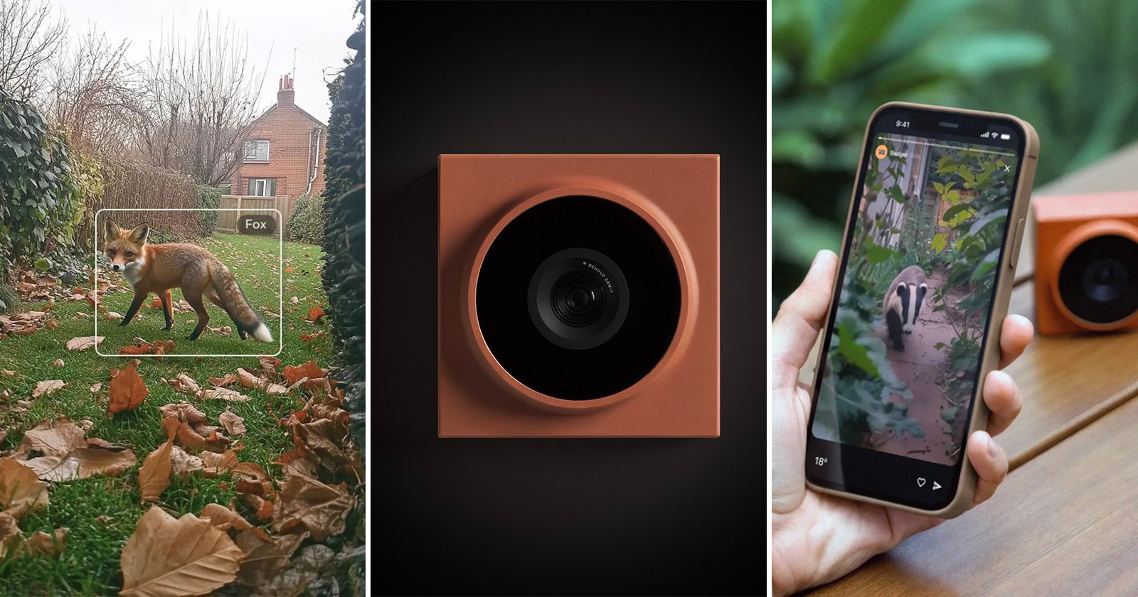 New Behold Trail Camera Revolutionizes Wildlife Observation