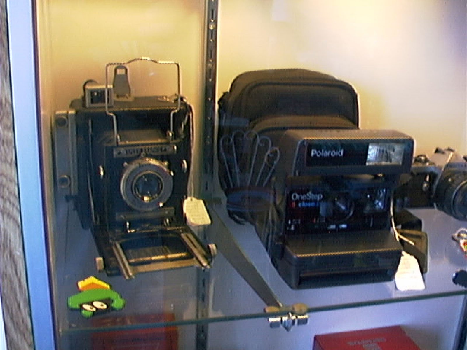 A display case with a vintage folding camera, a Polaroid OneStep instant camera, a camera bag, and other photography accessories, all arranged on glass shelves with price tags attached.