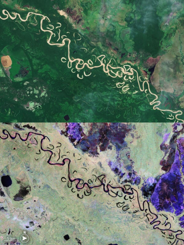 Two satellite images show a winding river with many curves and oxbow lakes through a green landscape; the top image is natural color, the bottom uses false color highlighting water and vegetation.